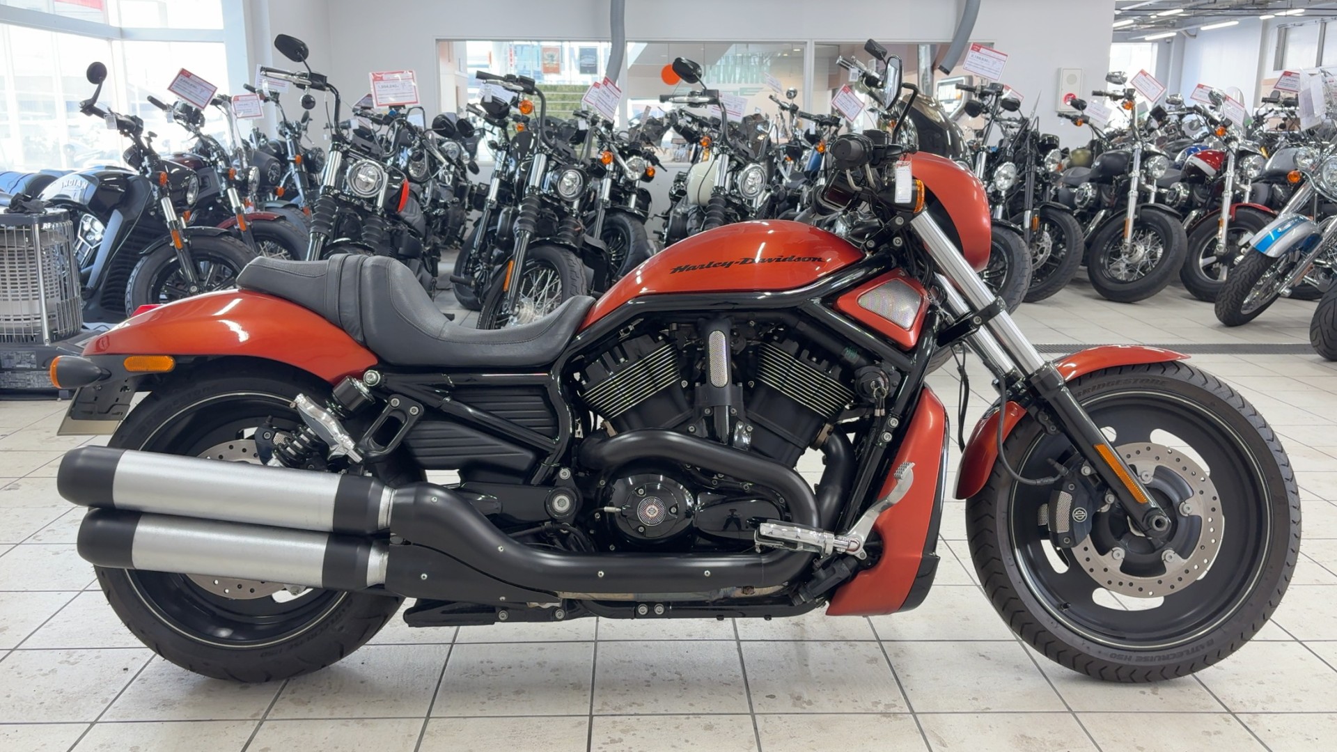 V-Rod VRSCDX Night Rod Special